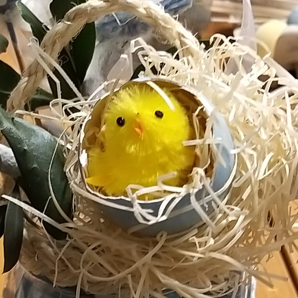 Banchetto di Pasqua del Laboratorio Bottega di Comasia